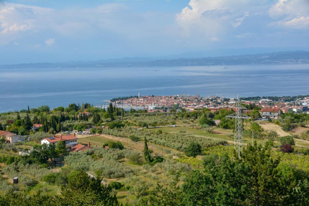 Viler Apartments Izola Buitenkant foto